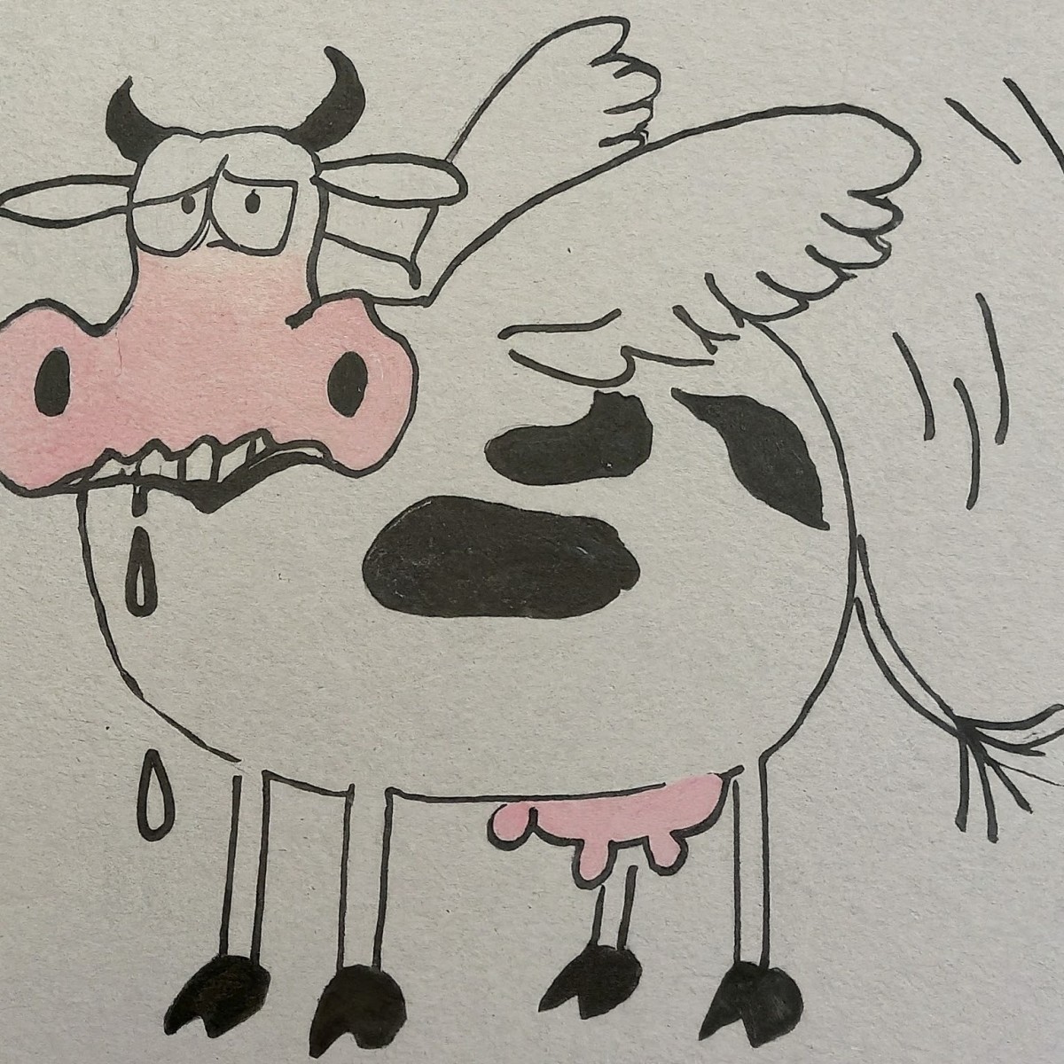 Why Cows Can't Fly
