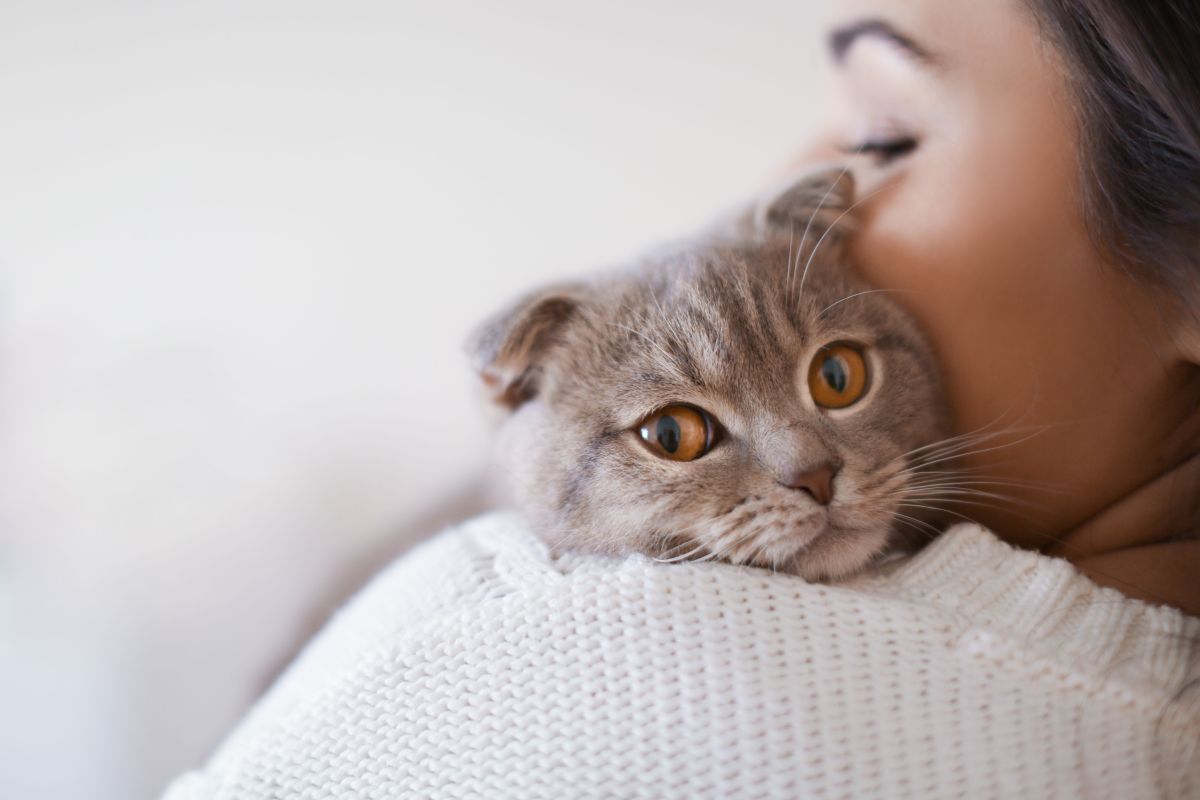 Do Cats Prefer Female Owners?
