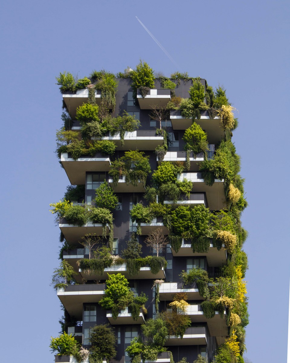 Green Infrastructure: The Sustainable Future of Urban Development ...