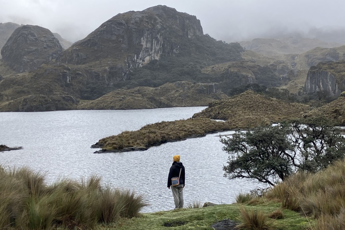 Cajas National Park: How to Get There From Cuenca, Ecuador