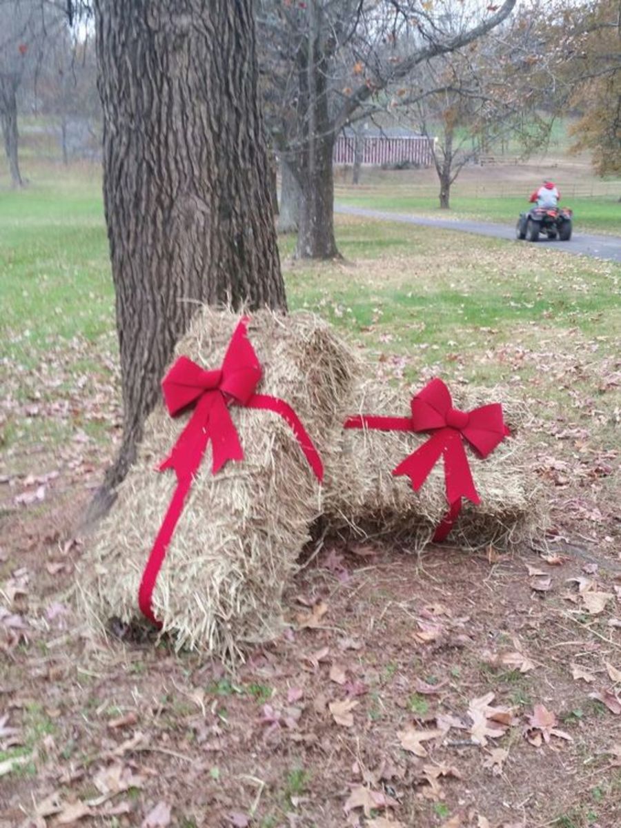 90+ Easy DIY Outdoor Christmas Decorations - HubPages