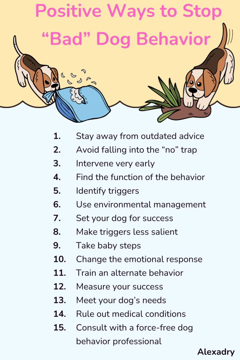 14 Ways to Stop Bad Dog Behaviors - HubPages