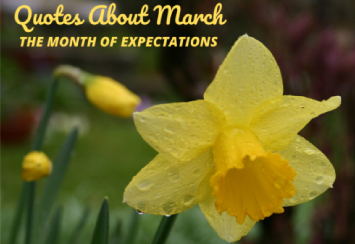 31 Quotes About March: The Month of Expectations