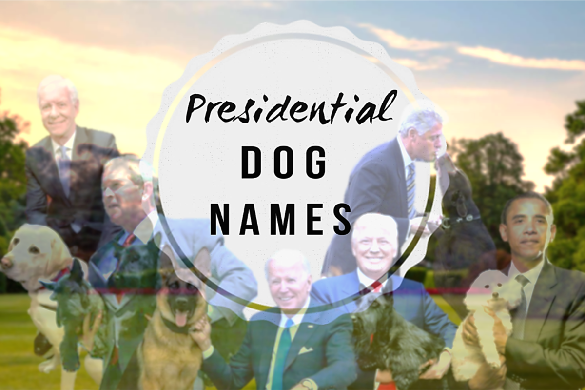 United States Presidential Dog Names