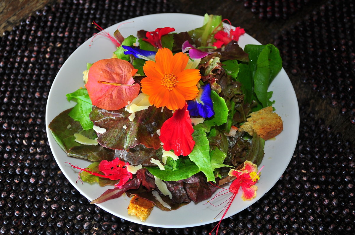 The Nutritional Value of Edible Flowers