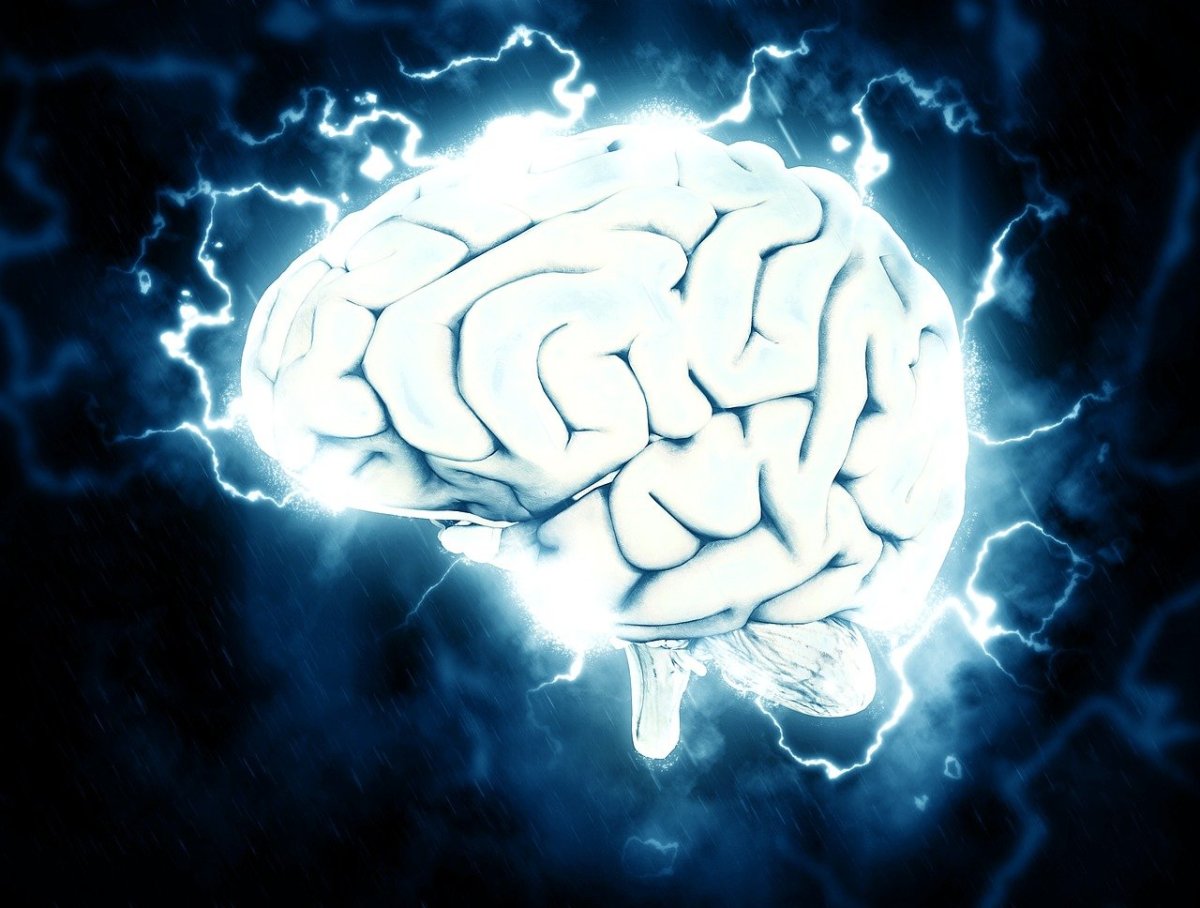 Cancer Neuroscience: A New Frontier Of Specialistic Medicine