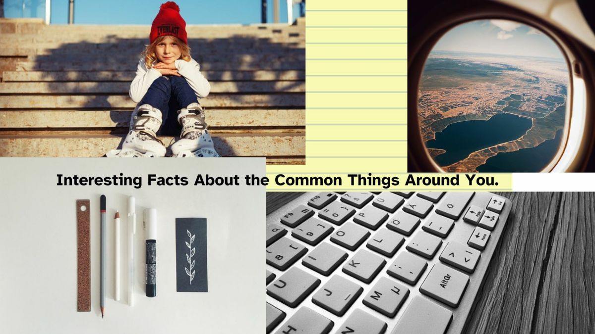 Interesting Facts About the Common Things Around You.