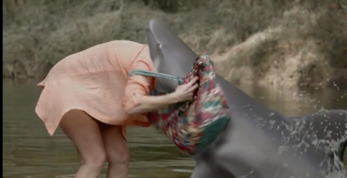 Shark Attack Sunday: Ozark Sharks (2015)
