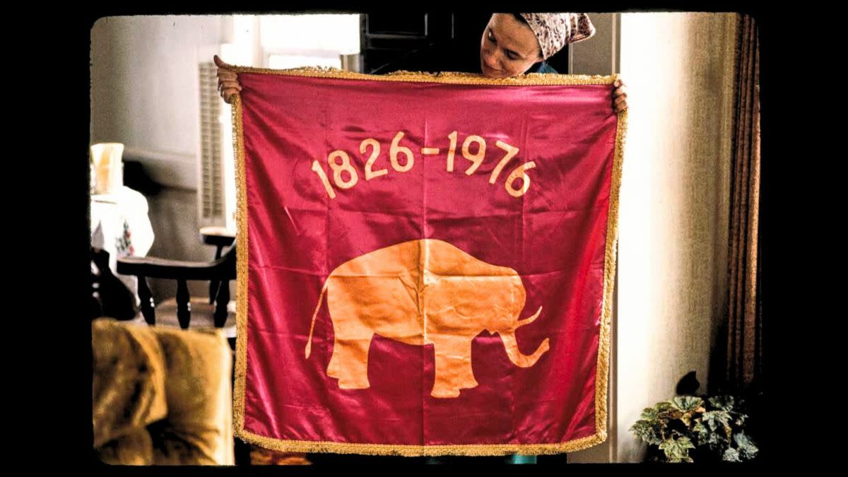 Flags That Have Elephants