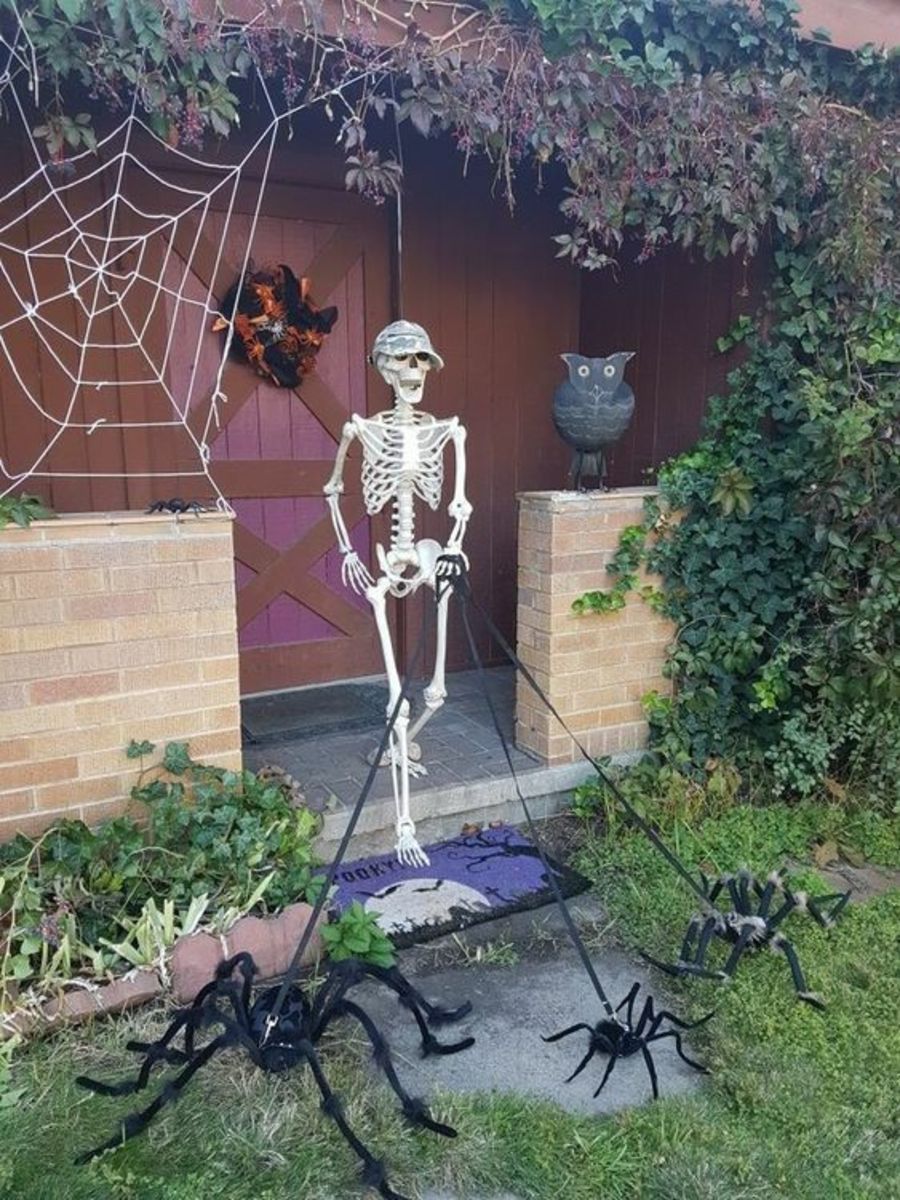 20+ Spooktastic Skeleton Halloween Decoration Ideas for Front Yard ...