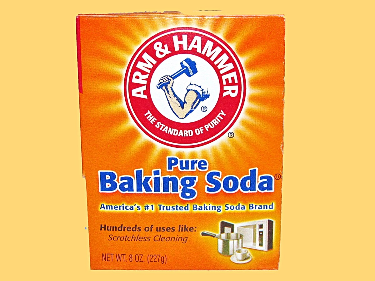 8 Home Remedies to Help Soothe Your Dog's Itchy Paws HubPages