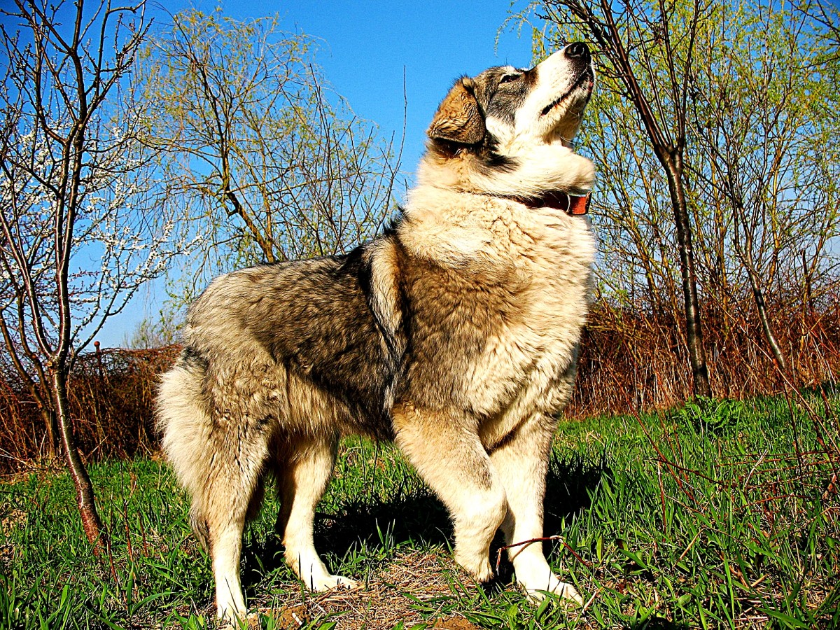 Seks yashirin kamera Buxoro