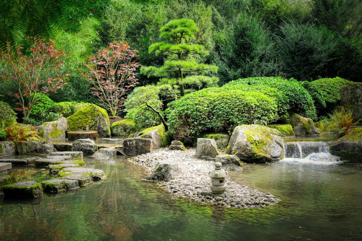 A Zen Garden Design: Bringing Tranquility to Your Landscapes