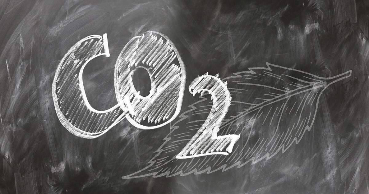 10 Easy Ways to Lower Your Carbon Footprint Today