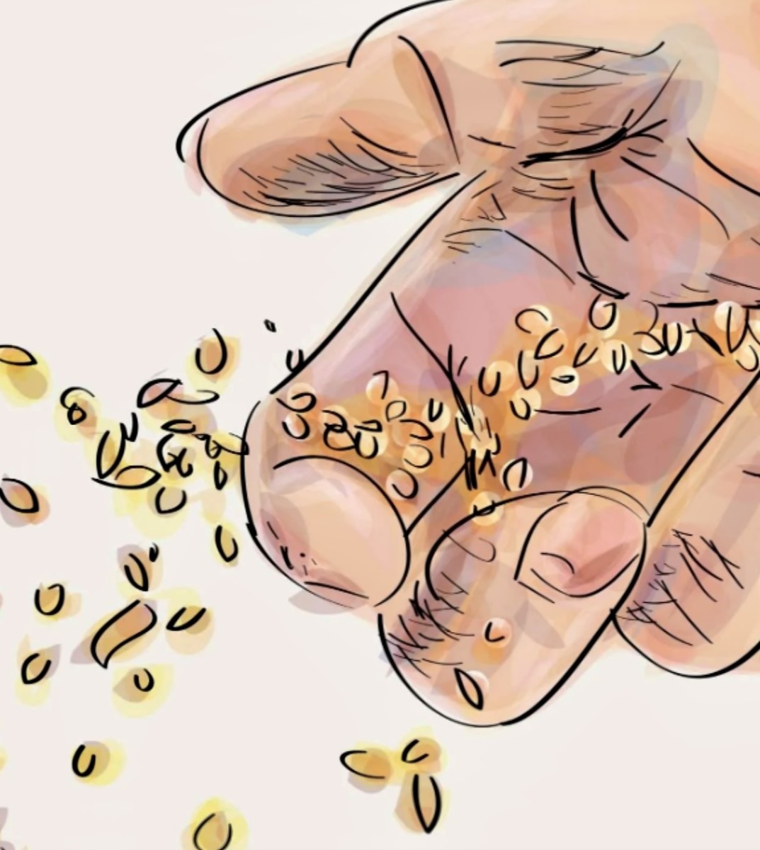 The Parable of the Sower and the Broadening of Our Spiritual Boundaries