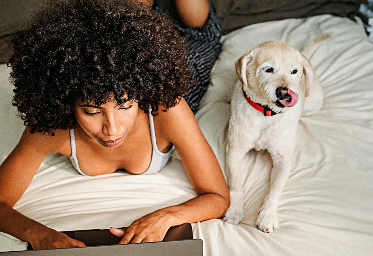 Why Is My Dog Constantly Licking His Front Legs? PetHelpful