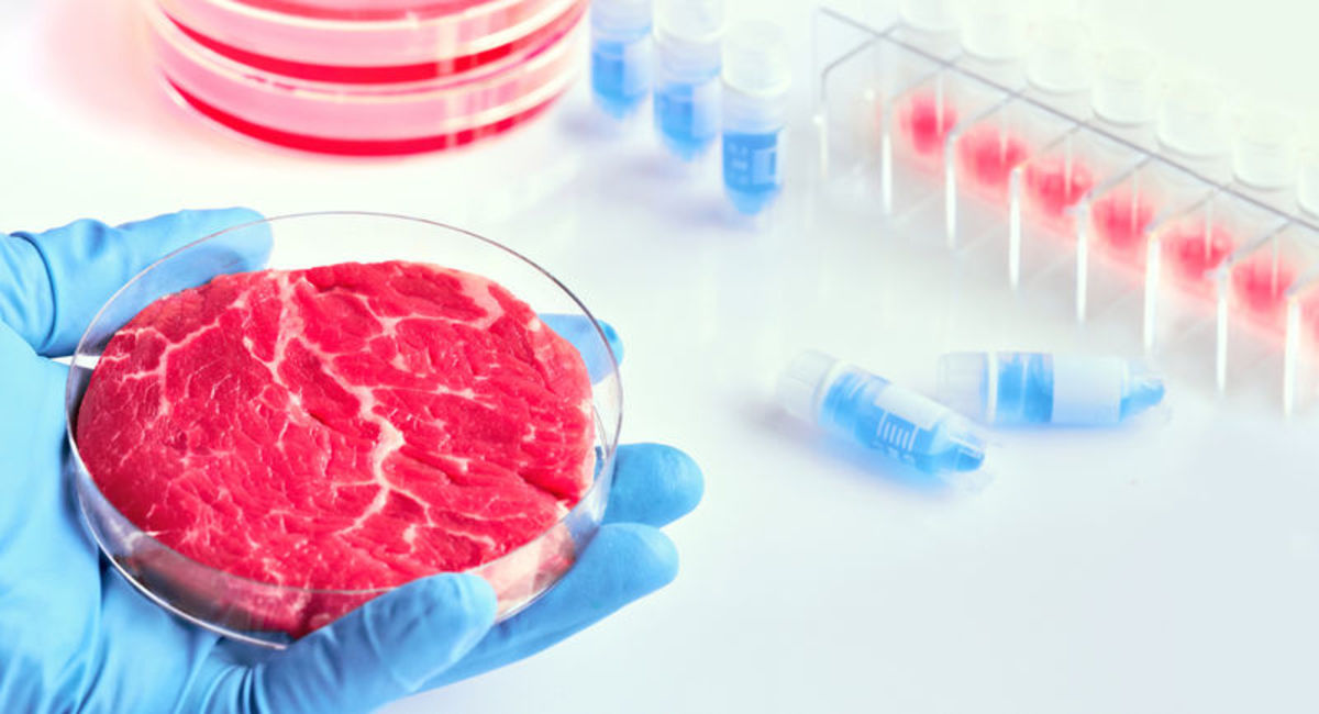 Stem Cell Meat: A Novel Science and a Social Need