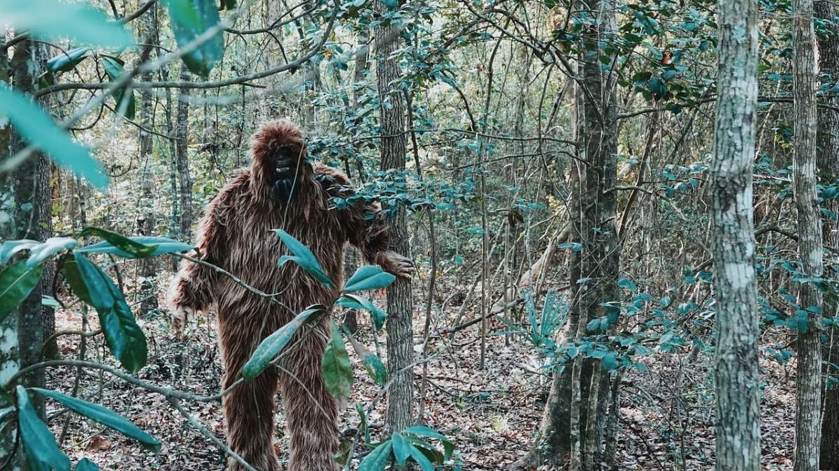 Bigfoot sightings