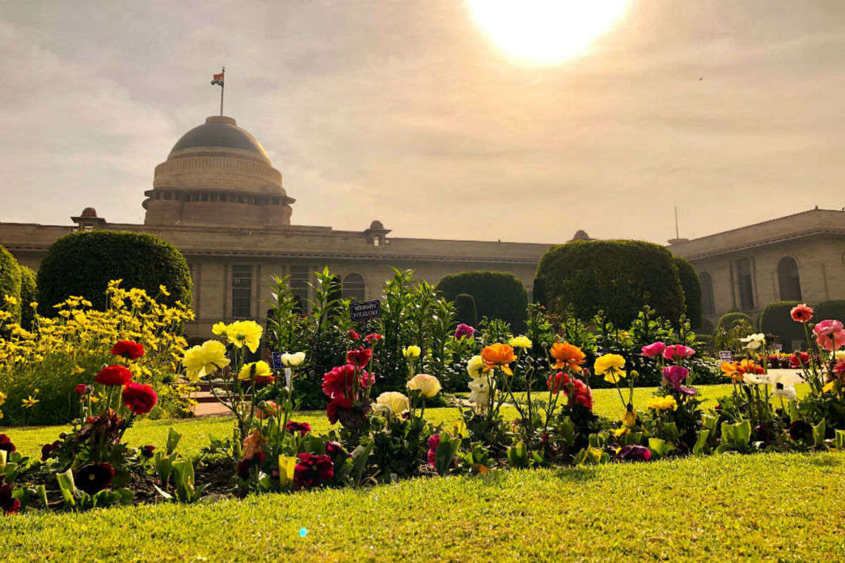 The Loveliest Gardens to Visit in India