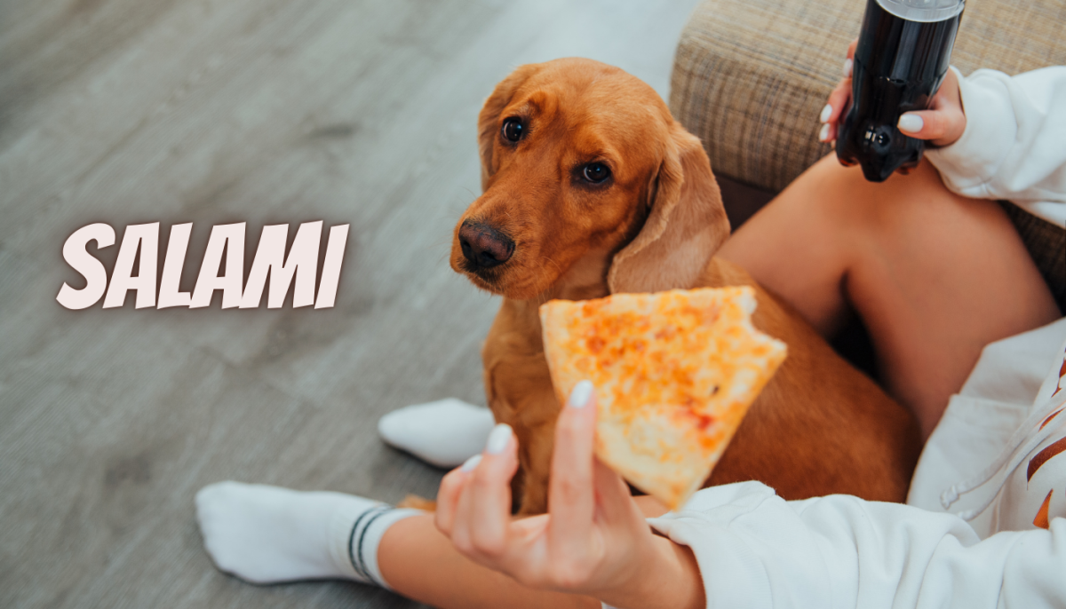 60 Pizza Inspired Dog Name Ideas