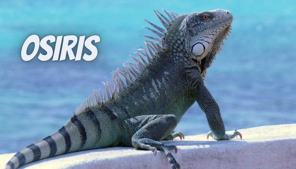 60 Reptile Name Ideas Inspired by Ancient Egypt