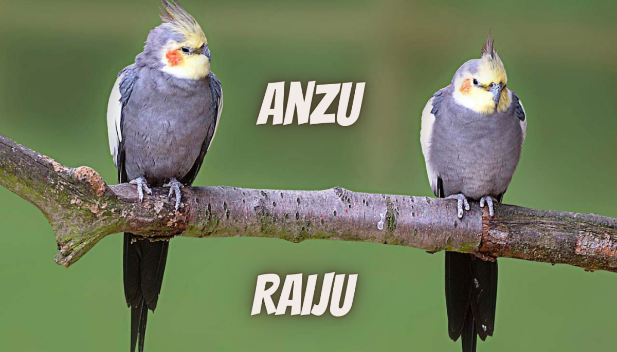 60 Bird Name Ideas Inspired by Mythological Creatures