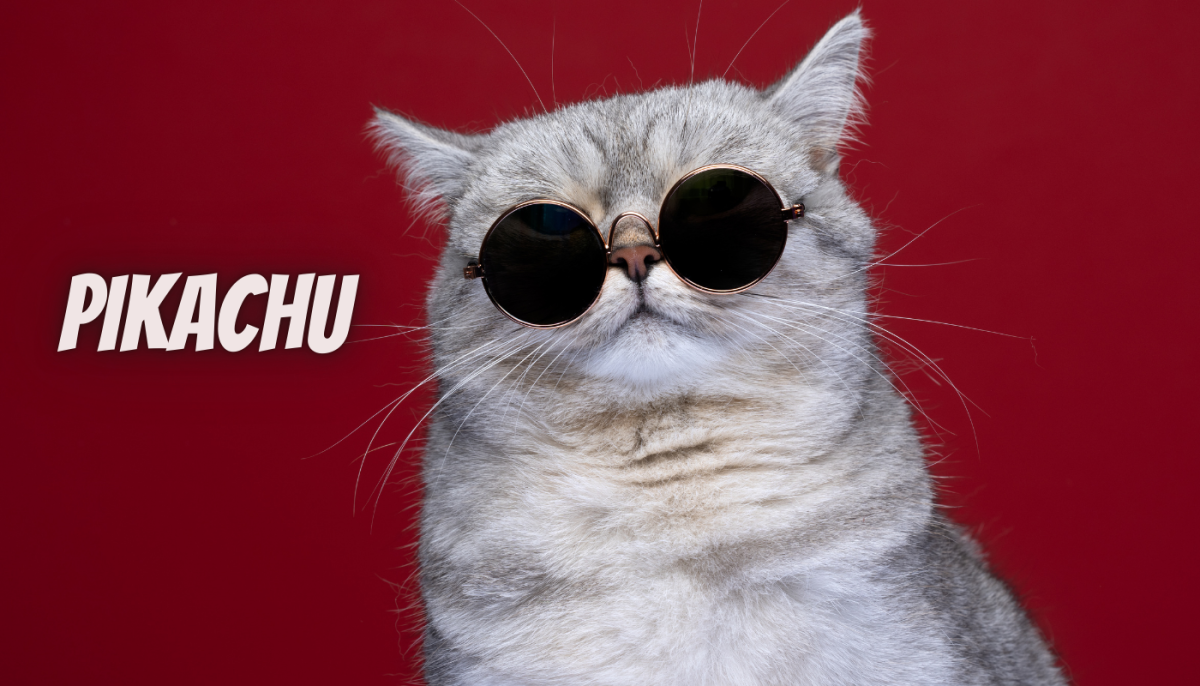 200 Pop Culture Inspired Cat Name Ideas