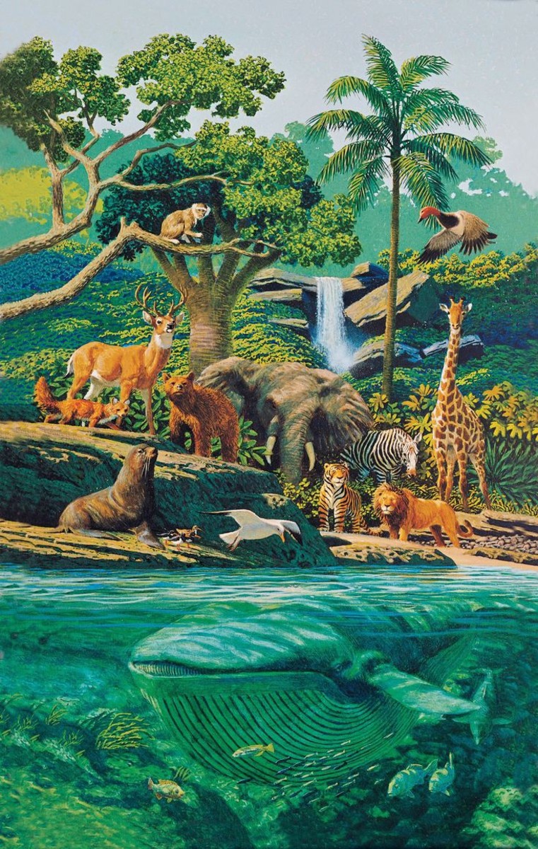 Chronicle of Creation