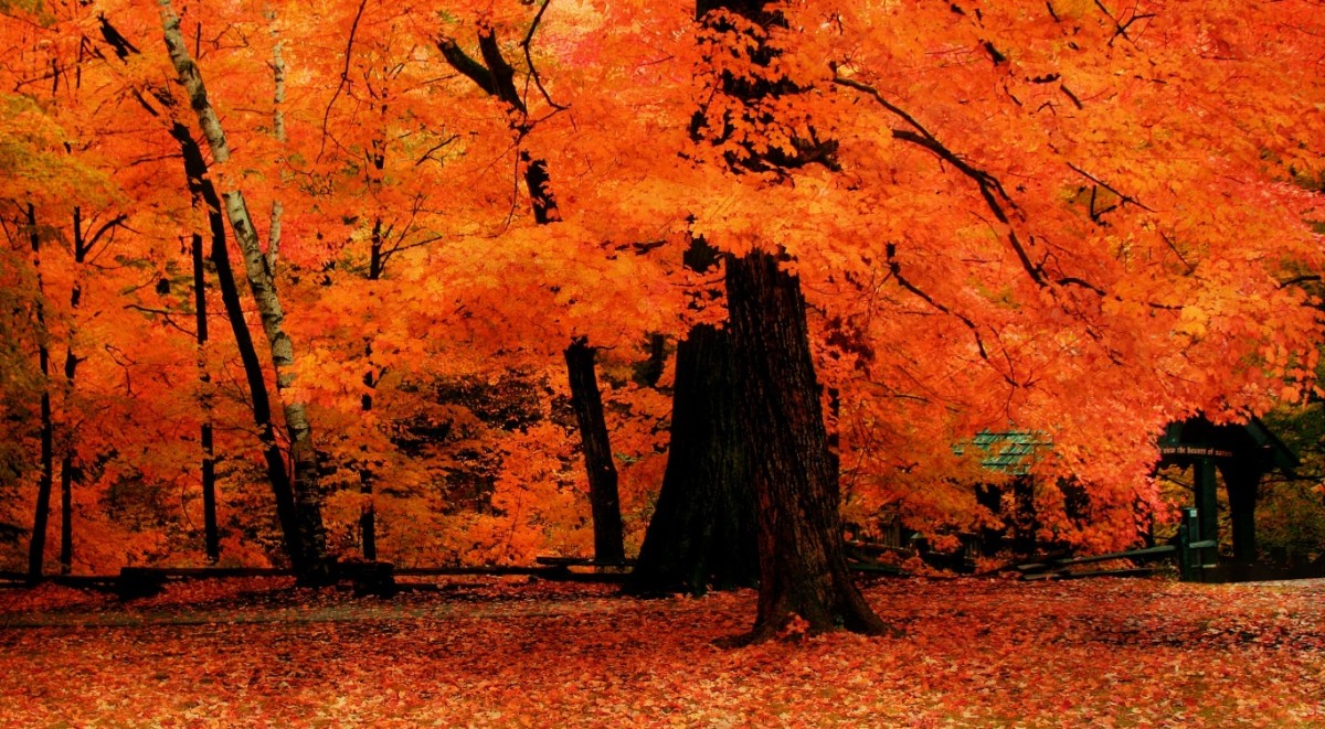 The True Meaning of Colors HubPages