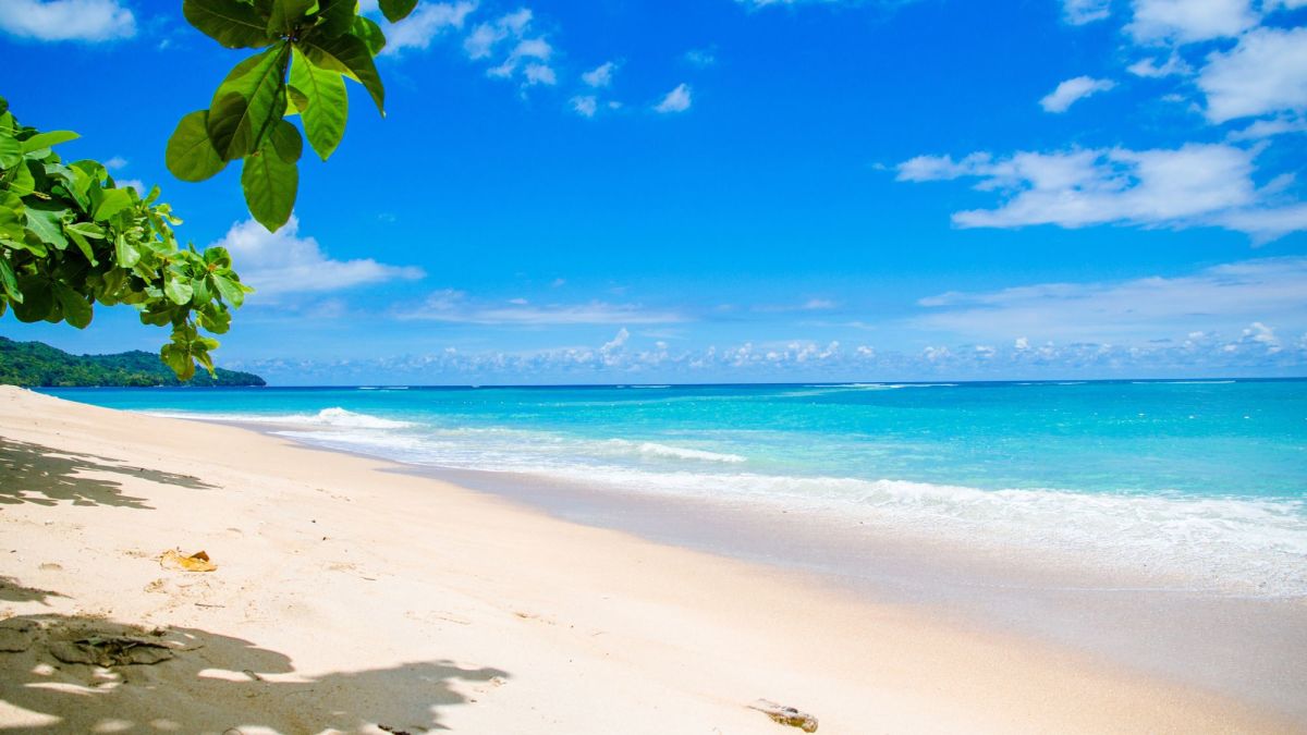 25 Fun Things To Do At The Beach WanderWisdom