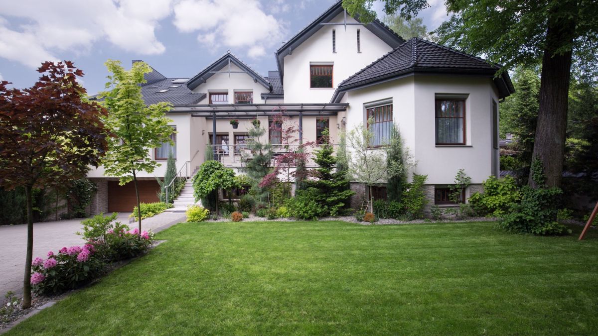 The Best Trees to Plant in Your Yard