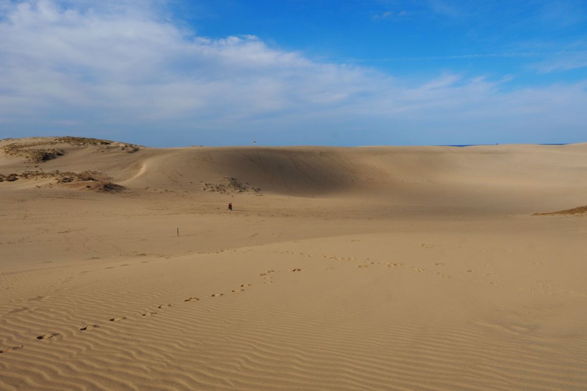 Tottori and Other Sand Dunes of Japan