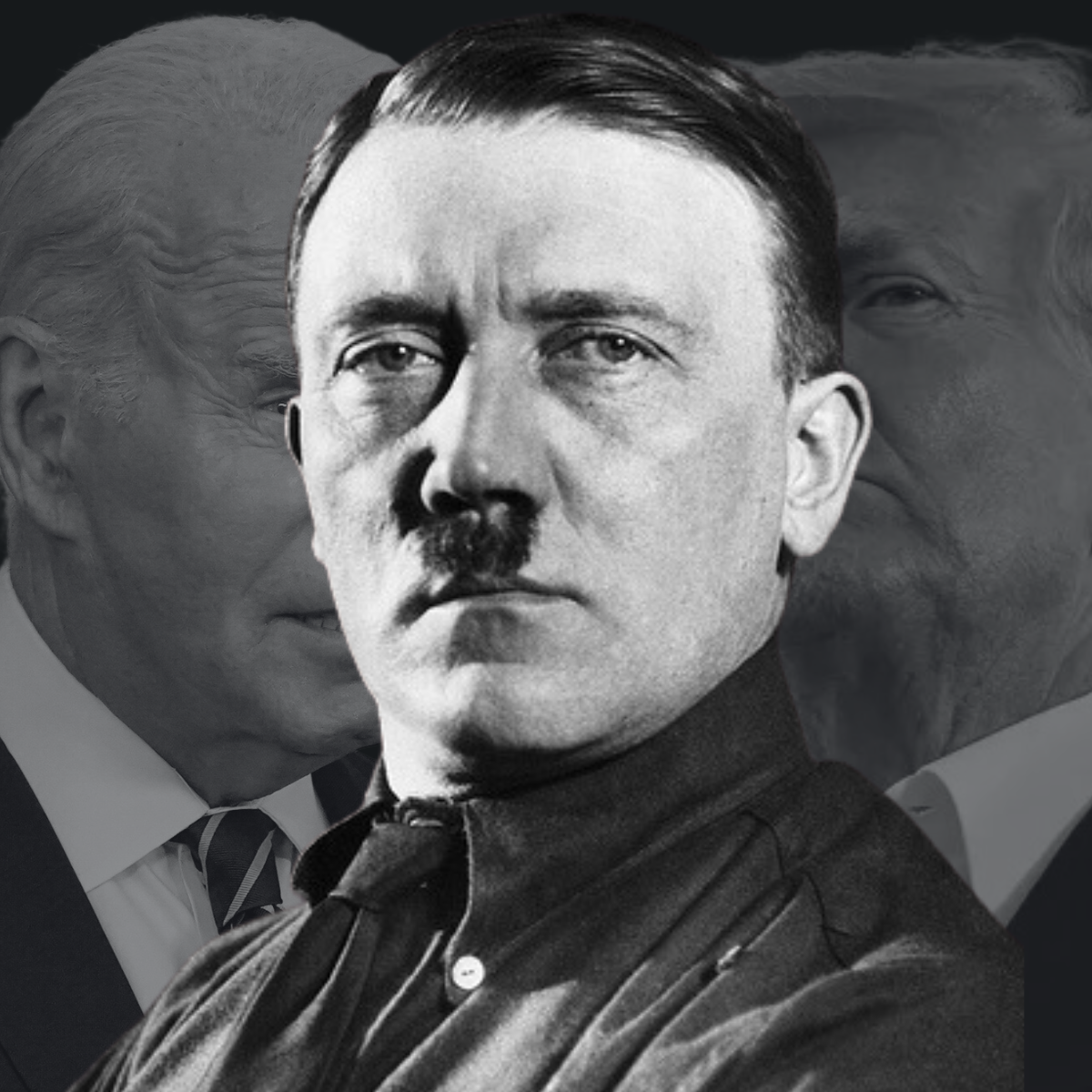 How Hitler Came to Power, a.k.a. A Cautionary Tale for U.S. Voters