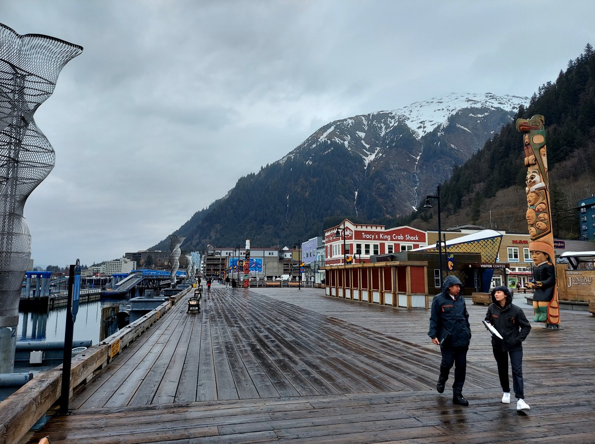 5 Best Things to Do When Visiting Juneau, Alaska WanderWisdom