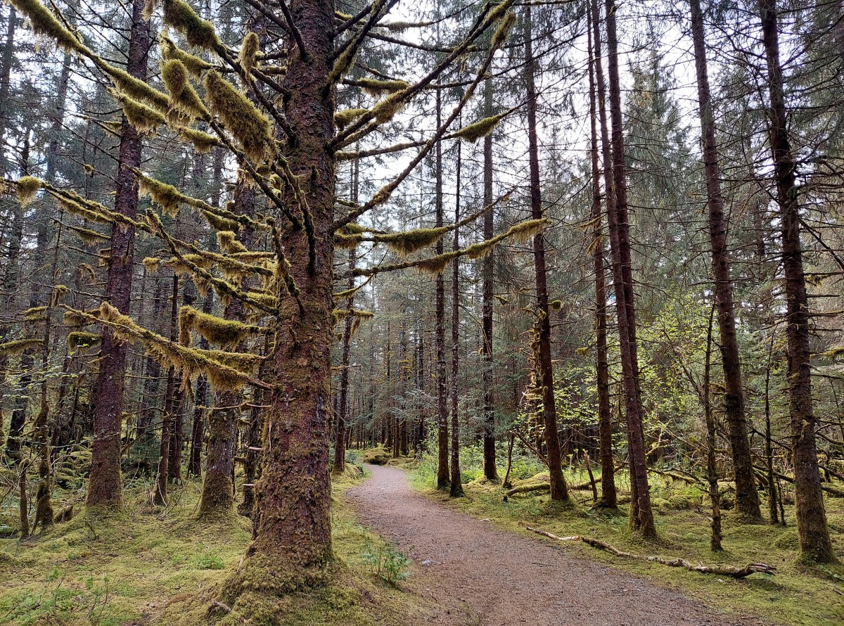 5 Best Things to Do When Visiting Juneau, Alaska WanderWisdom