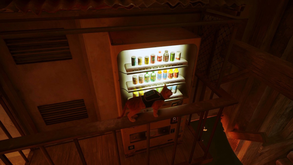 "Stray" Energy Drink Locations (With a Map) HubPages