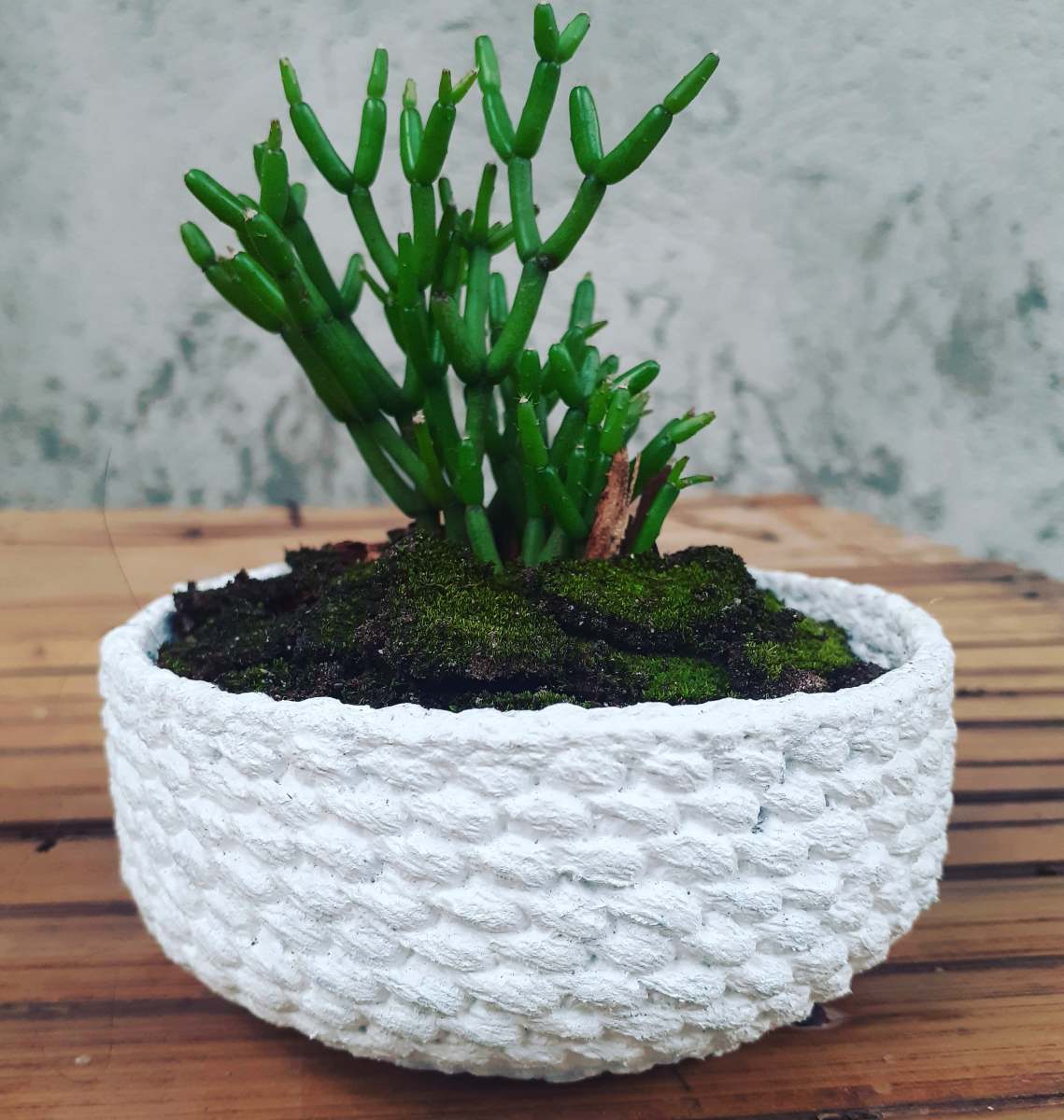 Cementing Crochet Succulent Pot