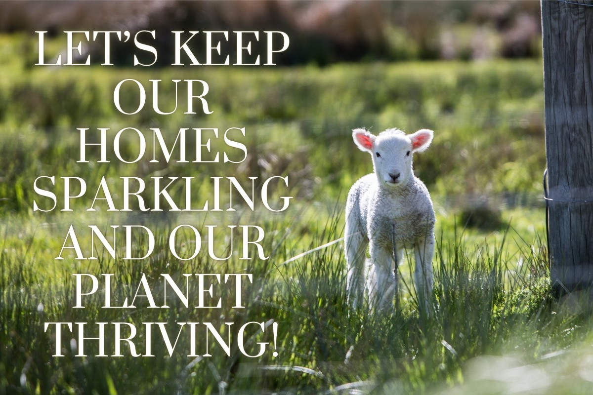 150+ Cleaning Quotes and Caption Ideas for Instagram HubPages