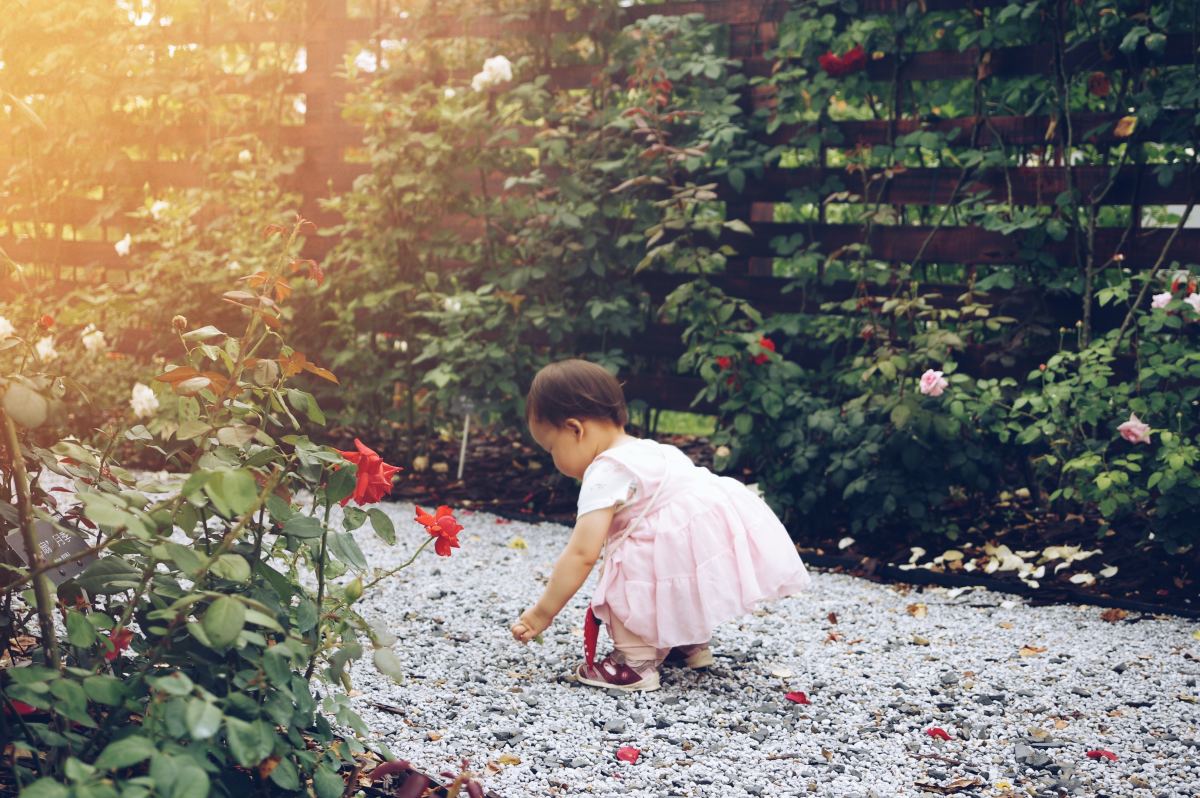 100+ Beautiful Japanese Baby Girl Names: From Aikiko To Yumi - WeHaveKids