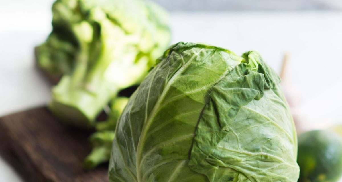 What Does It Mean When Cabbage Has Black Spots? HubPages