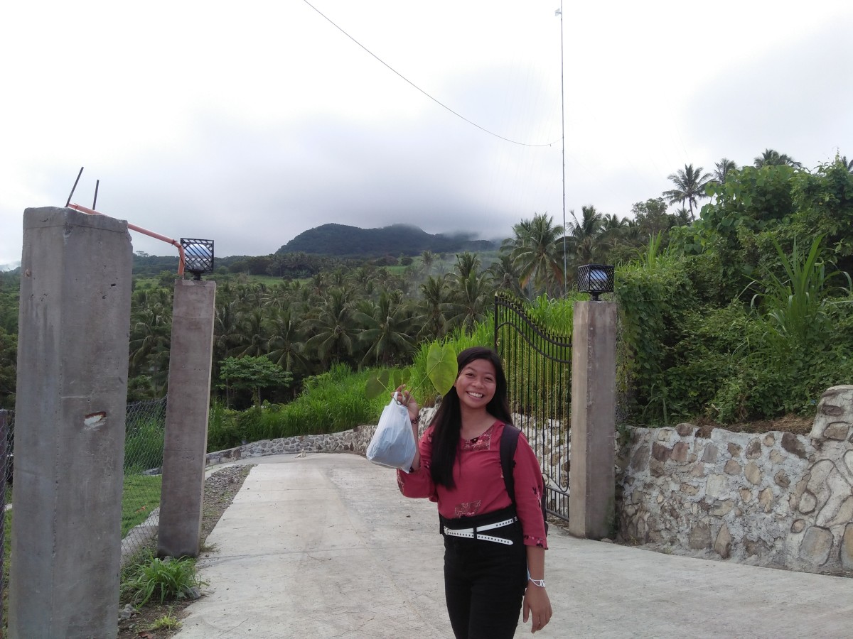 My Unforgettable Trip as a Literature Evangelist at Negros Oriental