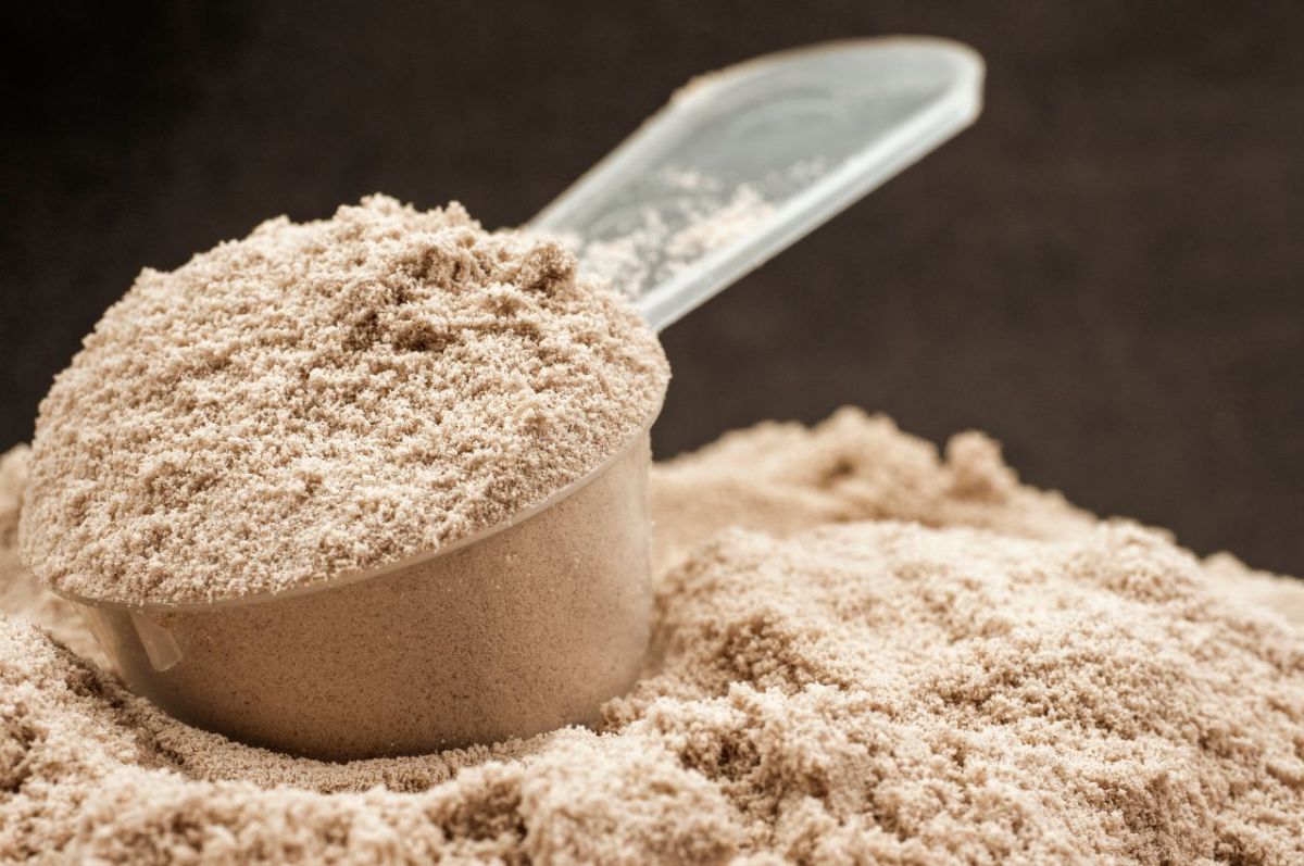 Is Hemp Protein Better Than Whey Protein?