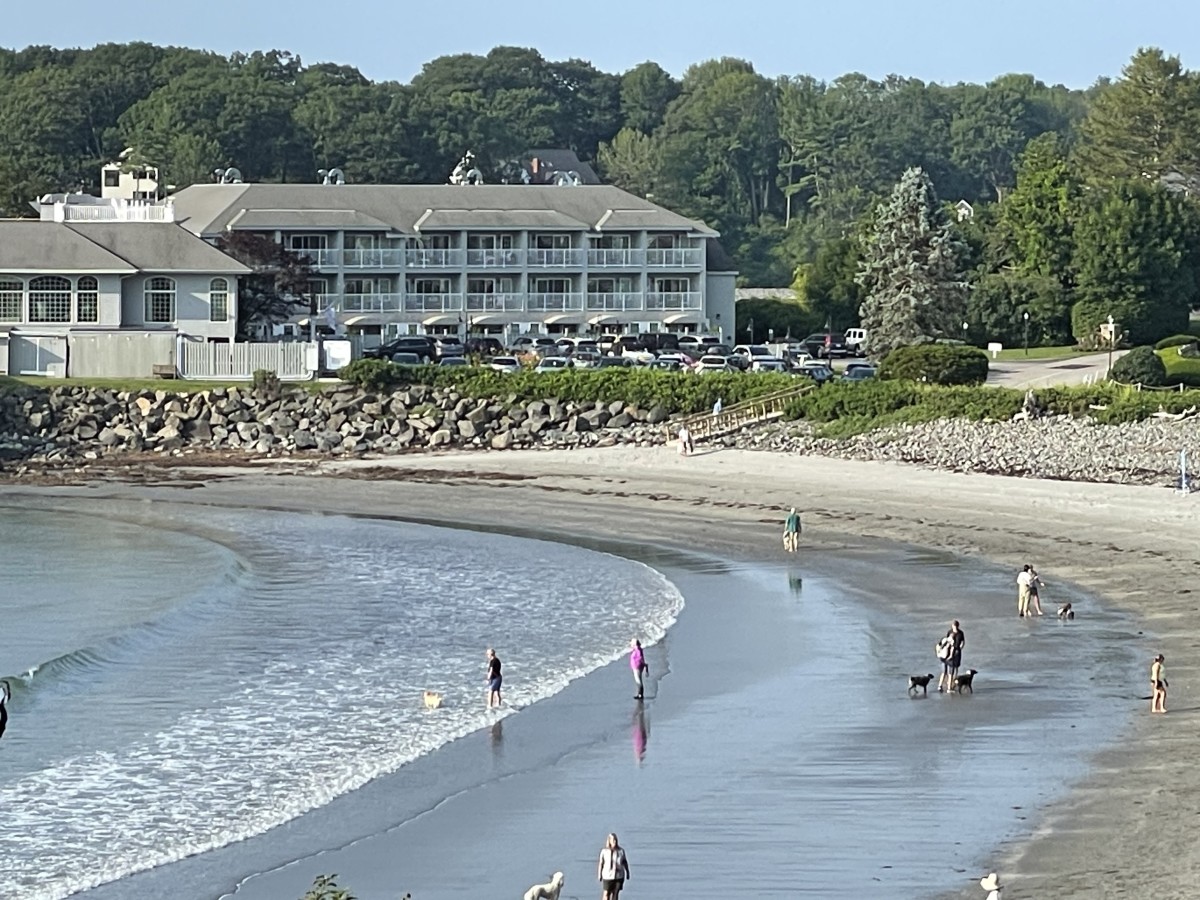Long Sands Beach: The Best Beach in Maine for Sand Dollars