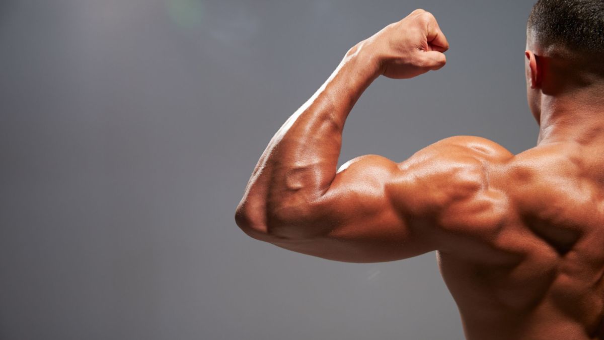 Best 5 Exercises to Build Big Biceps