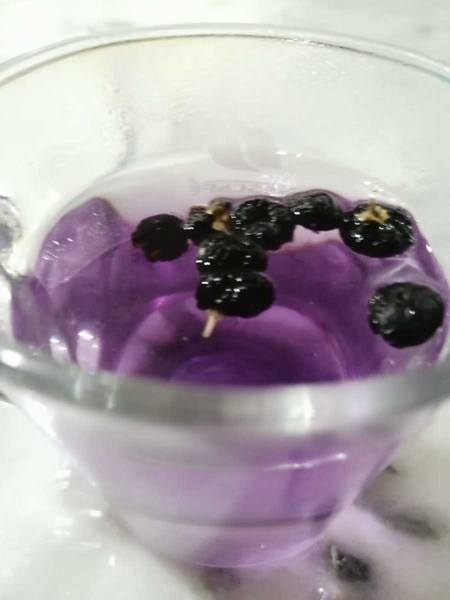 Health Benefits of Black Wolfberries HubPages