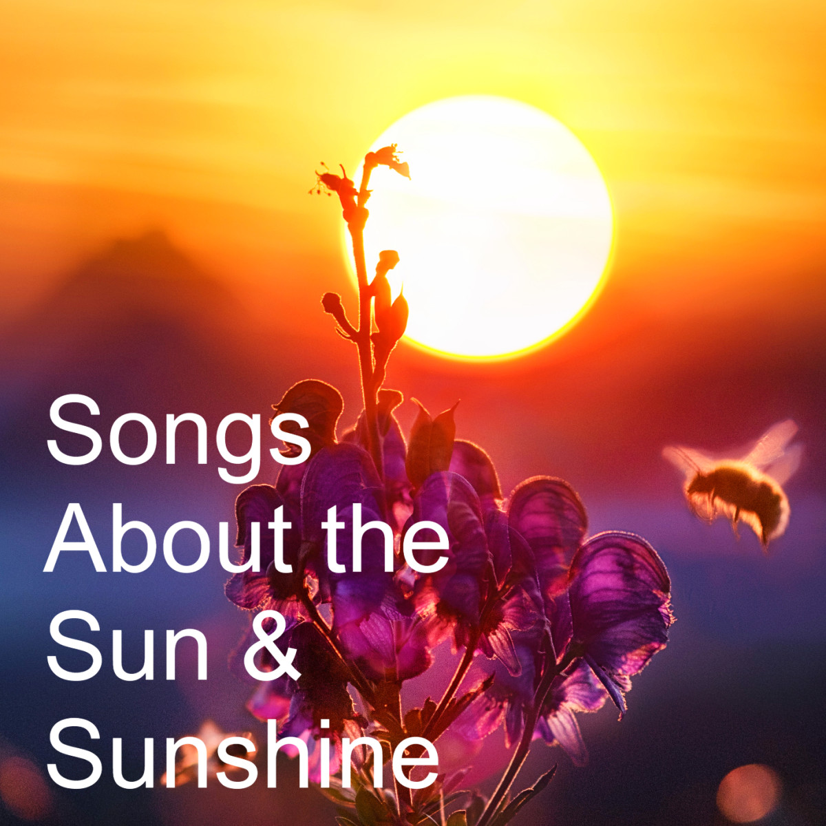 8 Songs About Sunshine, Sun Song