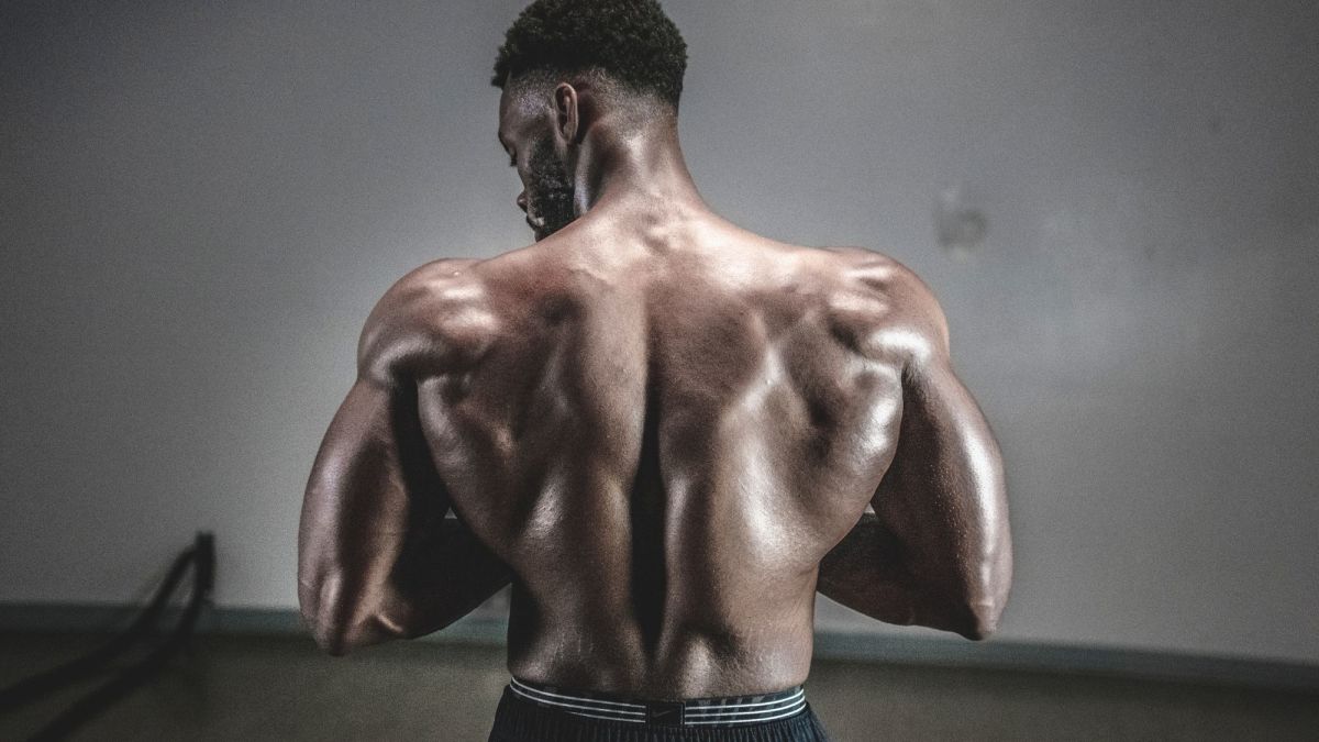 Why a Full-Body Workout Routine Is the Best Way to Build Muscle