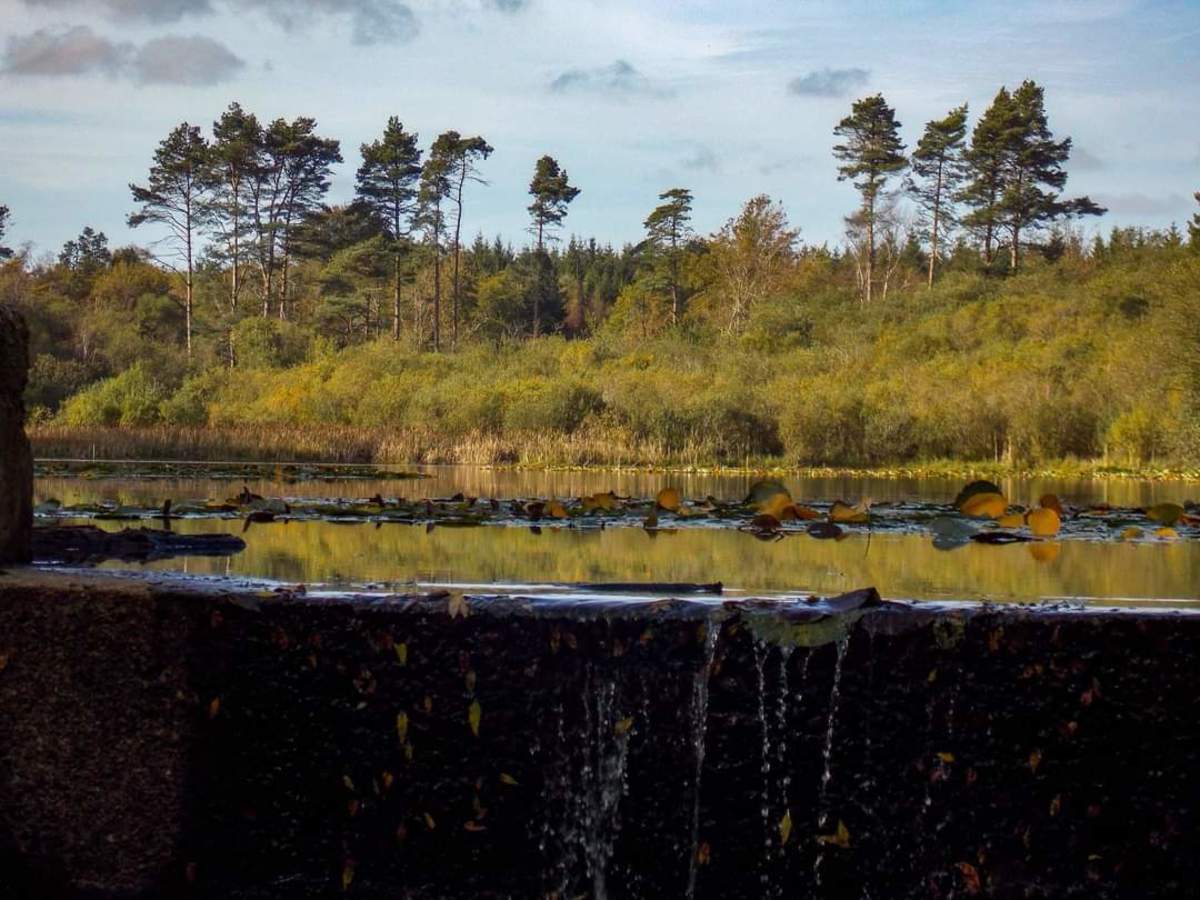 Scenic Walks and Trails: Lakes and Waterways of Cardiff and The Vale Of ...