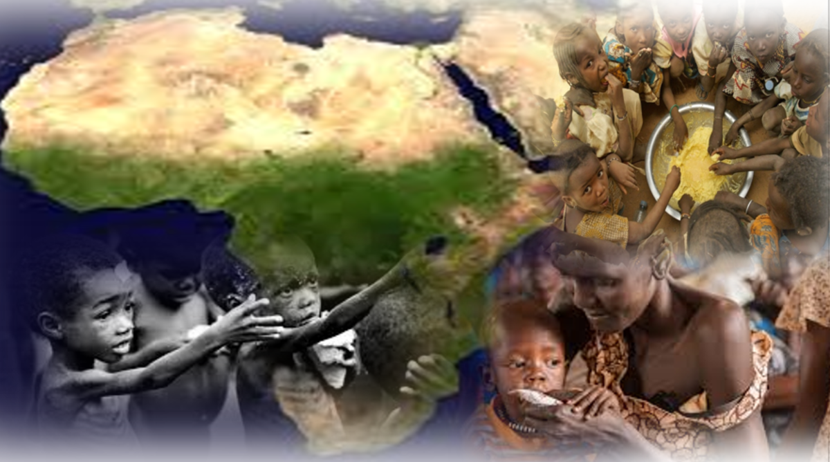 Causes and Solutions to Food Crisis in Africa