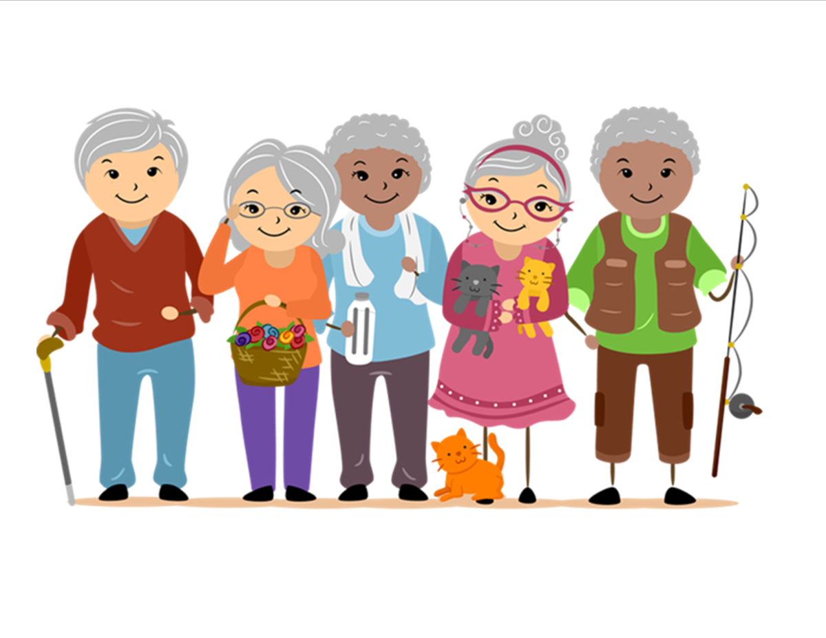 Exercises for Seniors’ Strength, Balance and Wellness